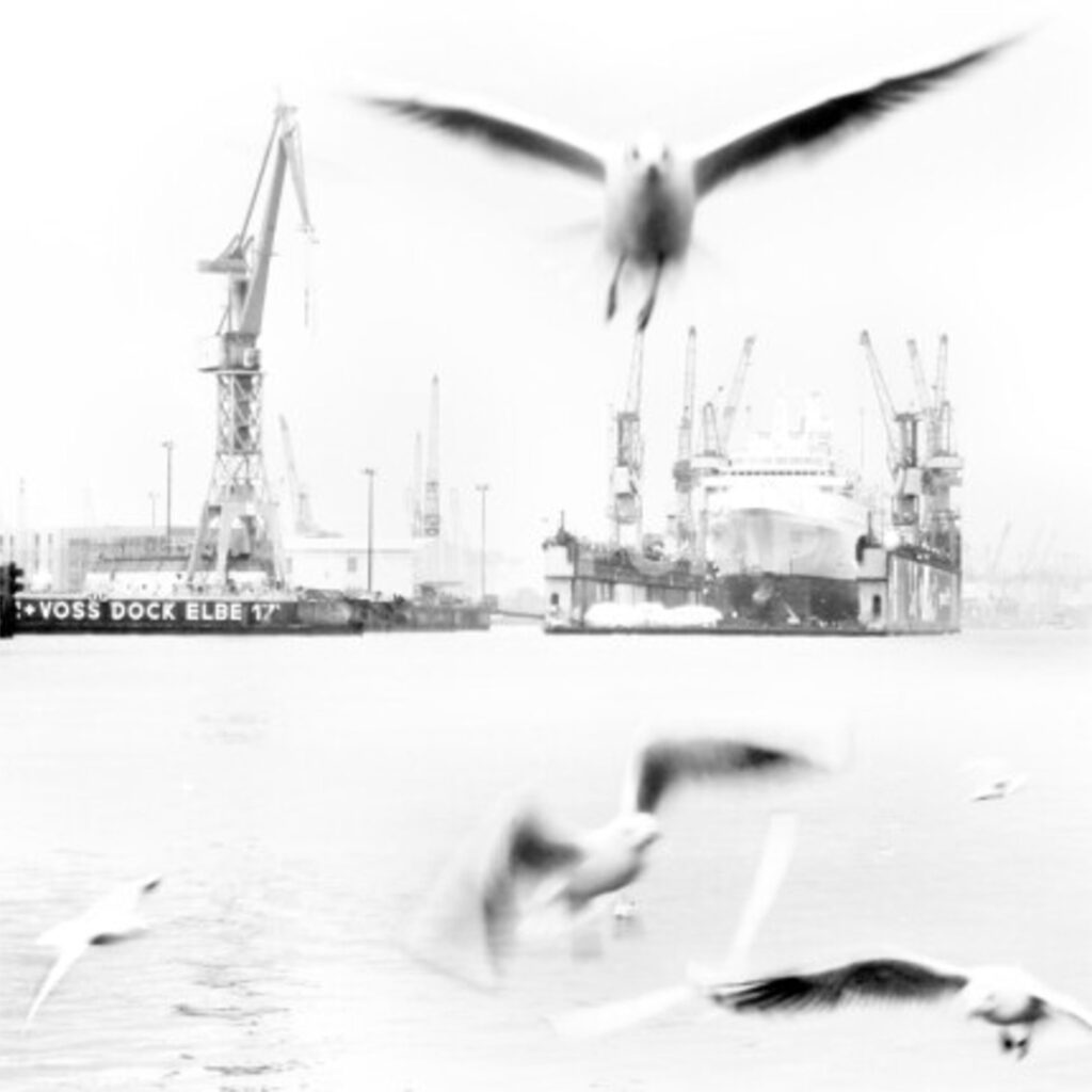 Leinwanddruck, zwei Möwen im Hamburger Hafen bei Nebel
